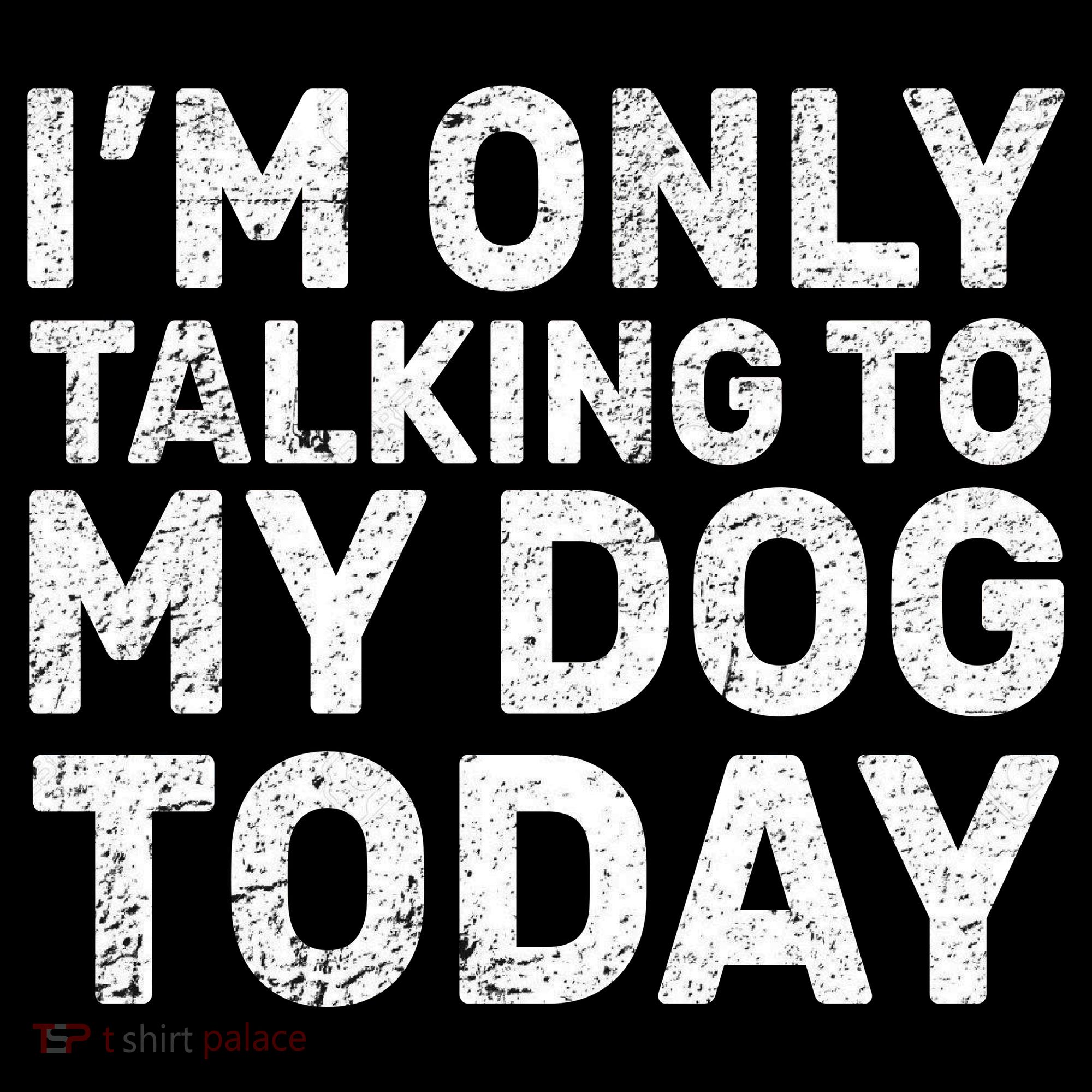 I'm Only Talking to My Dog Today Ornament