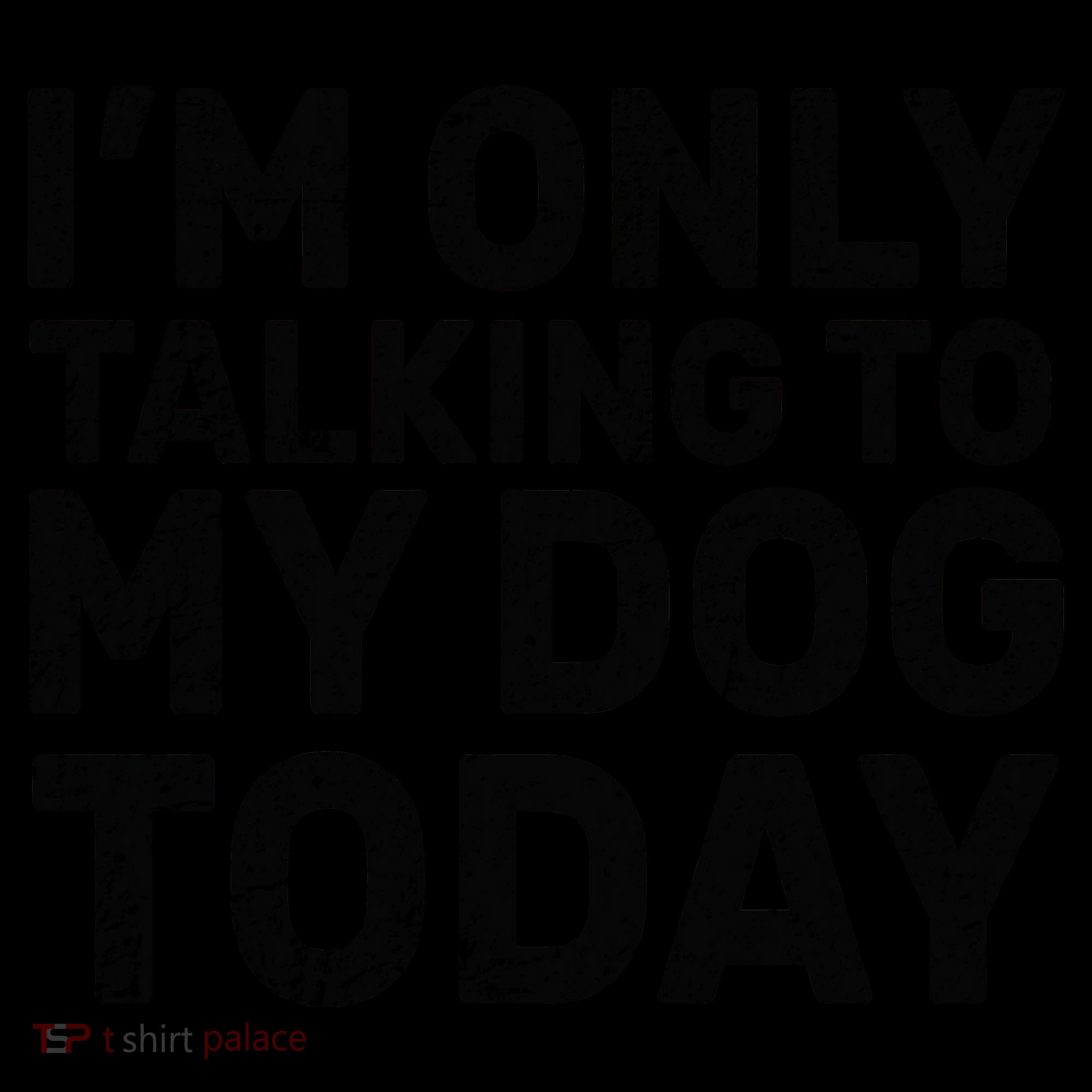 I'm Only Talking To My Dog Today Kids Colorblock Raglan Jersey
