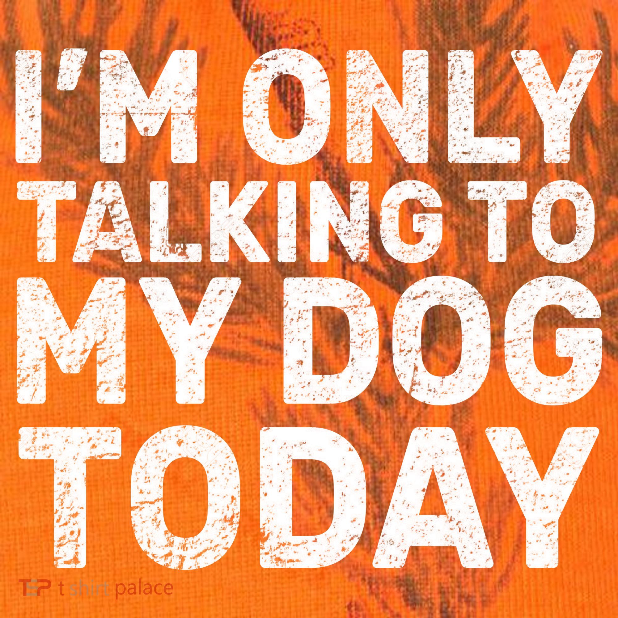 I'm Only Talking To My Dog Today Kati Licensed 12" Camo Cuffed Beanie