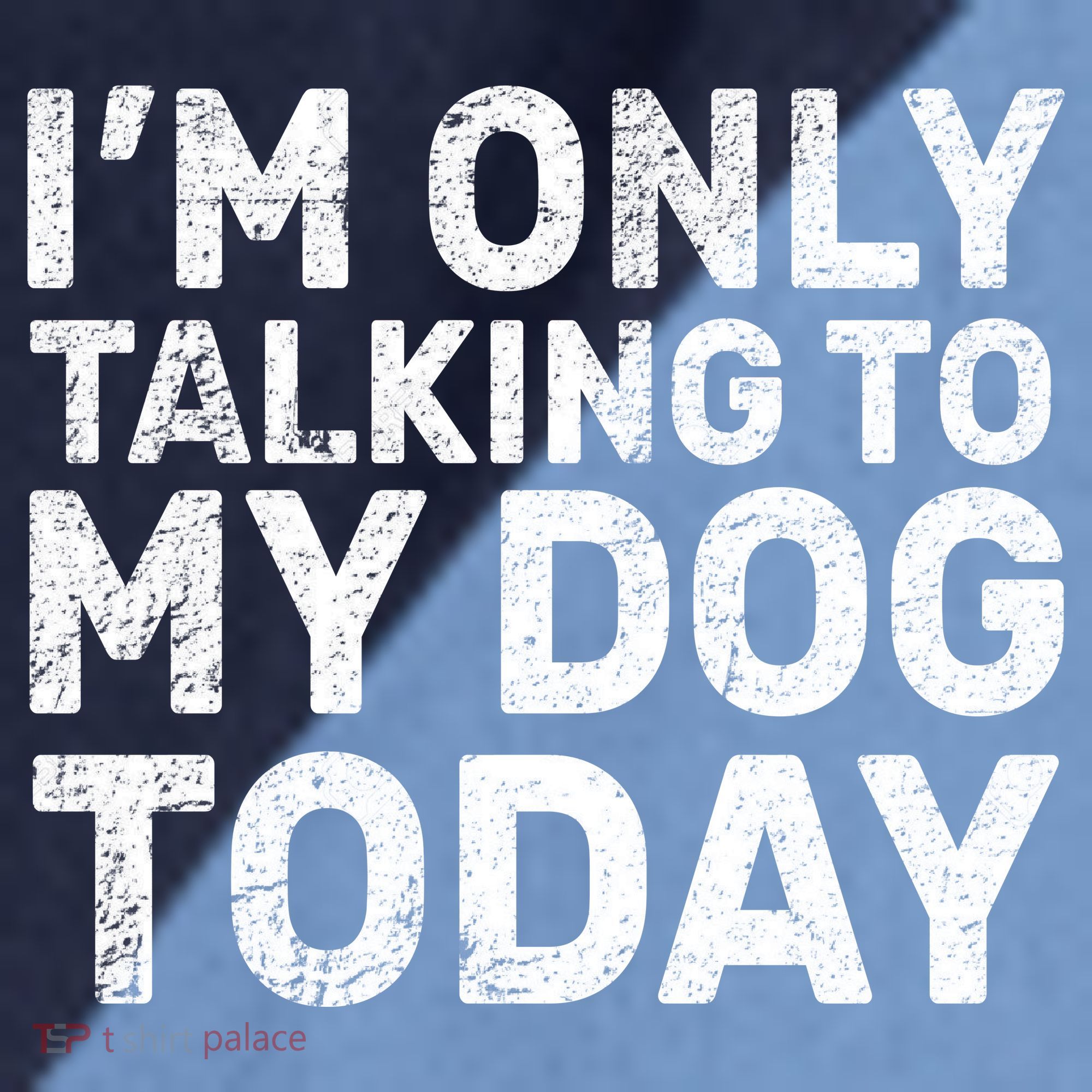 I'm Only Talking To My Dog Today Raglan Baseball Sleeve Shirt