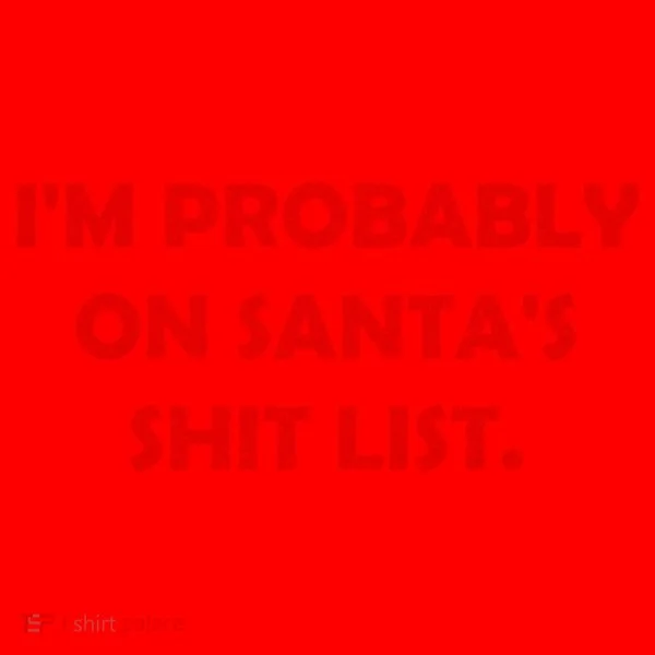 I'm Probably On Santa's Shit List Santa Hat