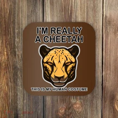 Coaster