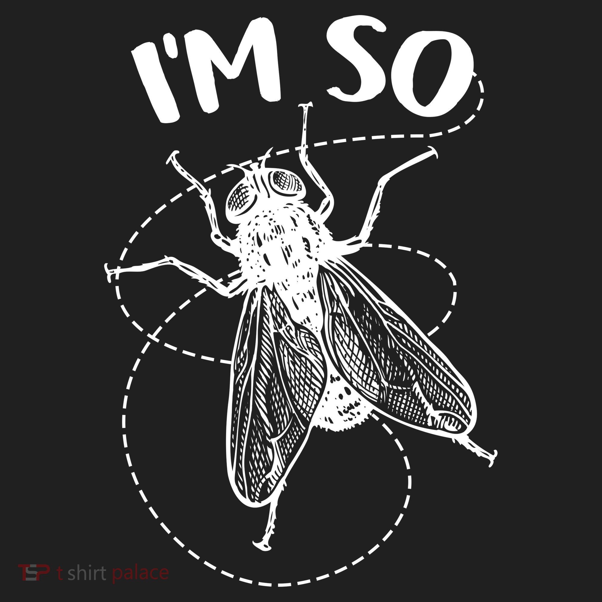 I'm So Fly Beanie