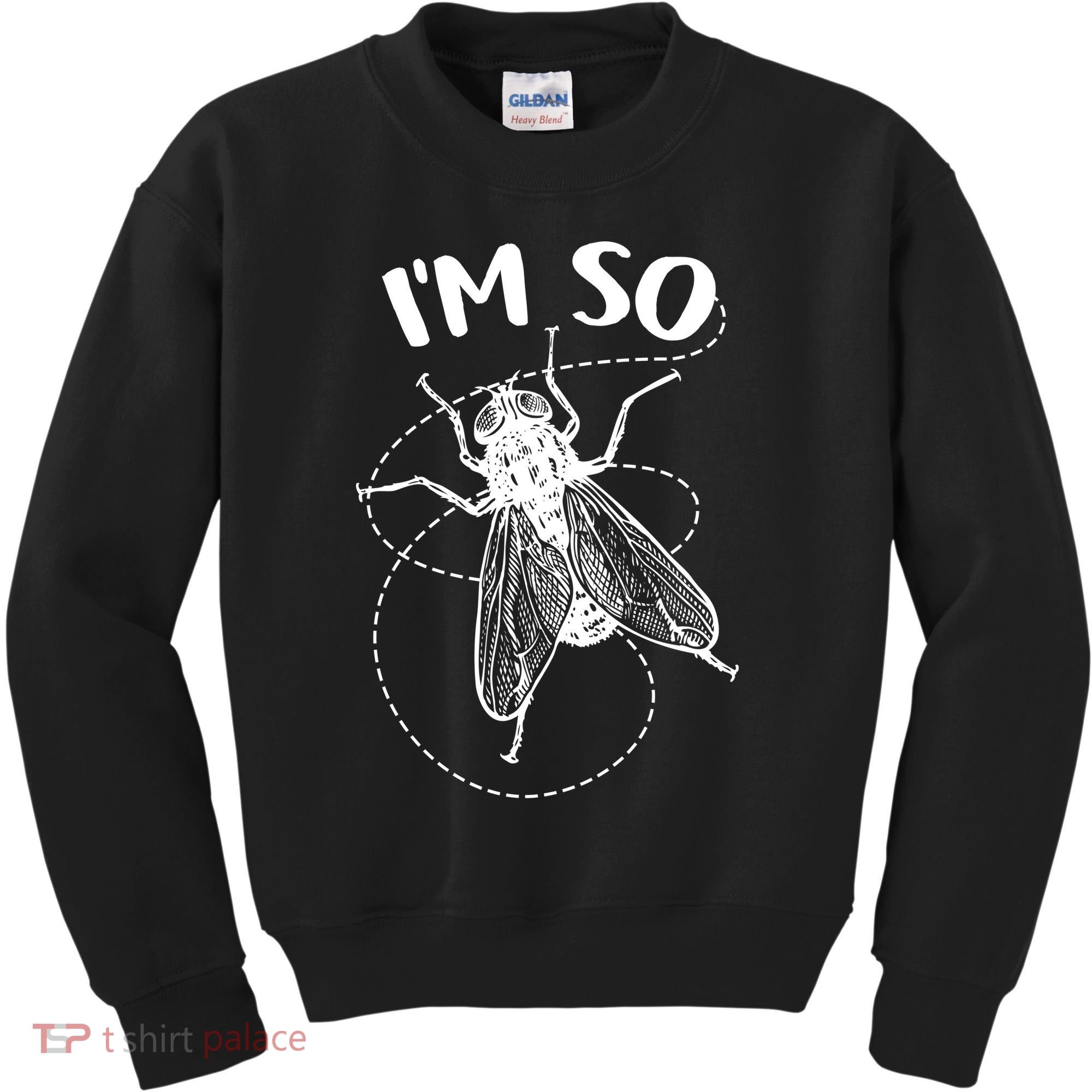 I'm So Fly Kids Sweatshirt