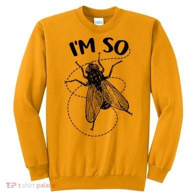 I'm So Fly Sweatshirt