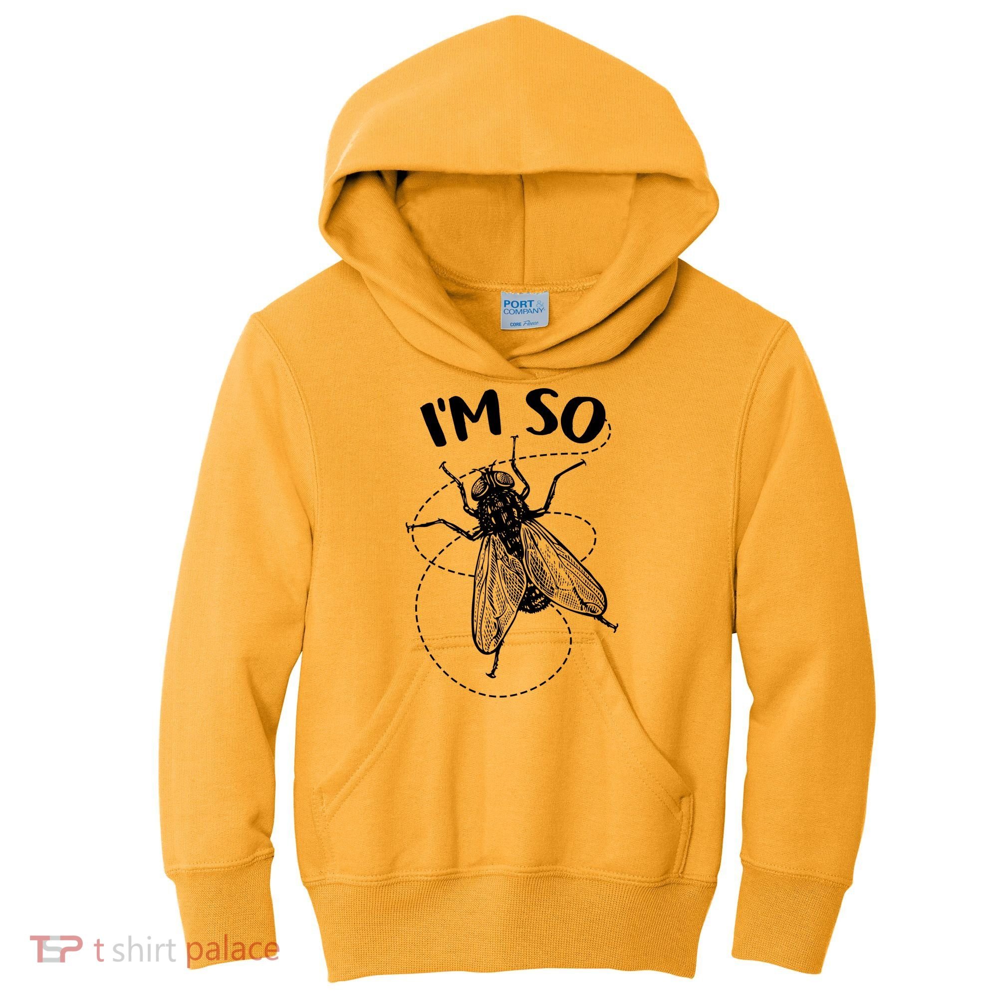 I'm So Fly Kids Hoodie