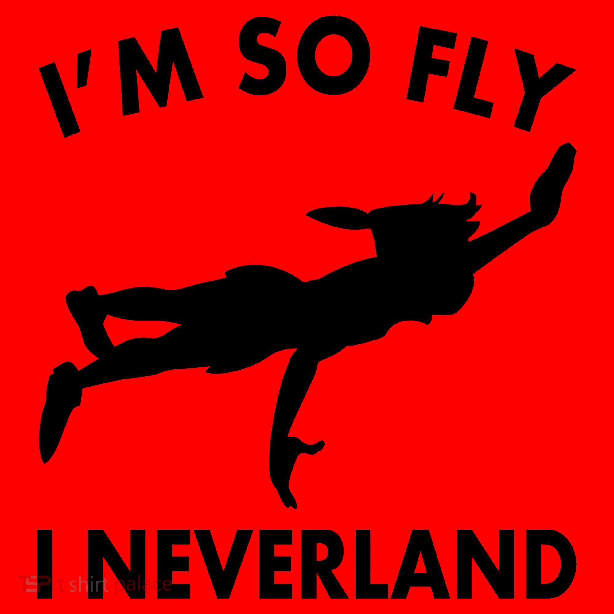 I'm So Fly I Neverland Santa Hat