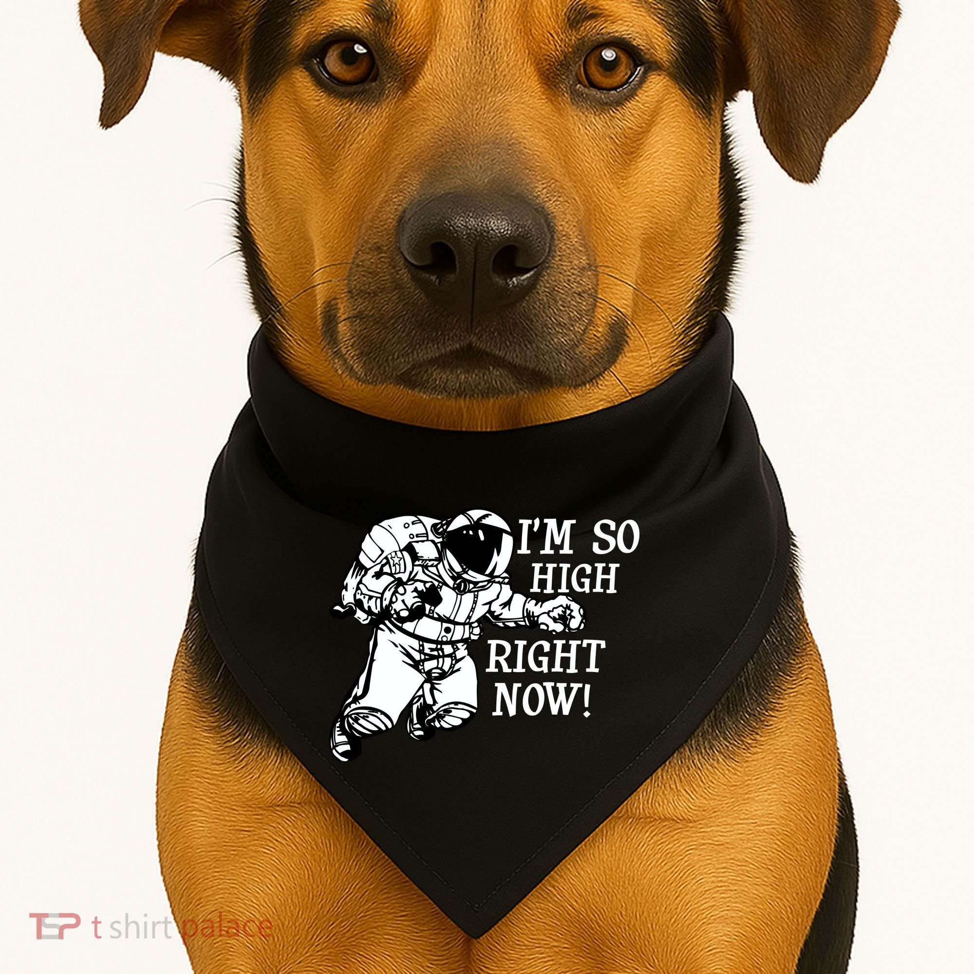 I'm So High Right Now USA-Made Doggie Bandana
