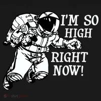 I'm So High Right Now Hoodie thumb 2