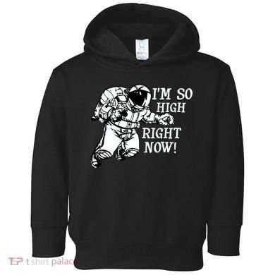 I'm So High Right Now Toddler Hoodie