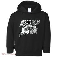 I'm So High Right Now Toddler Hoodie thumb 0