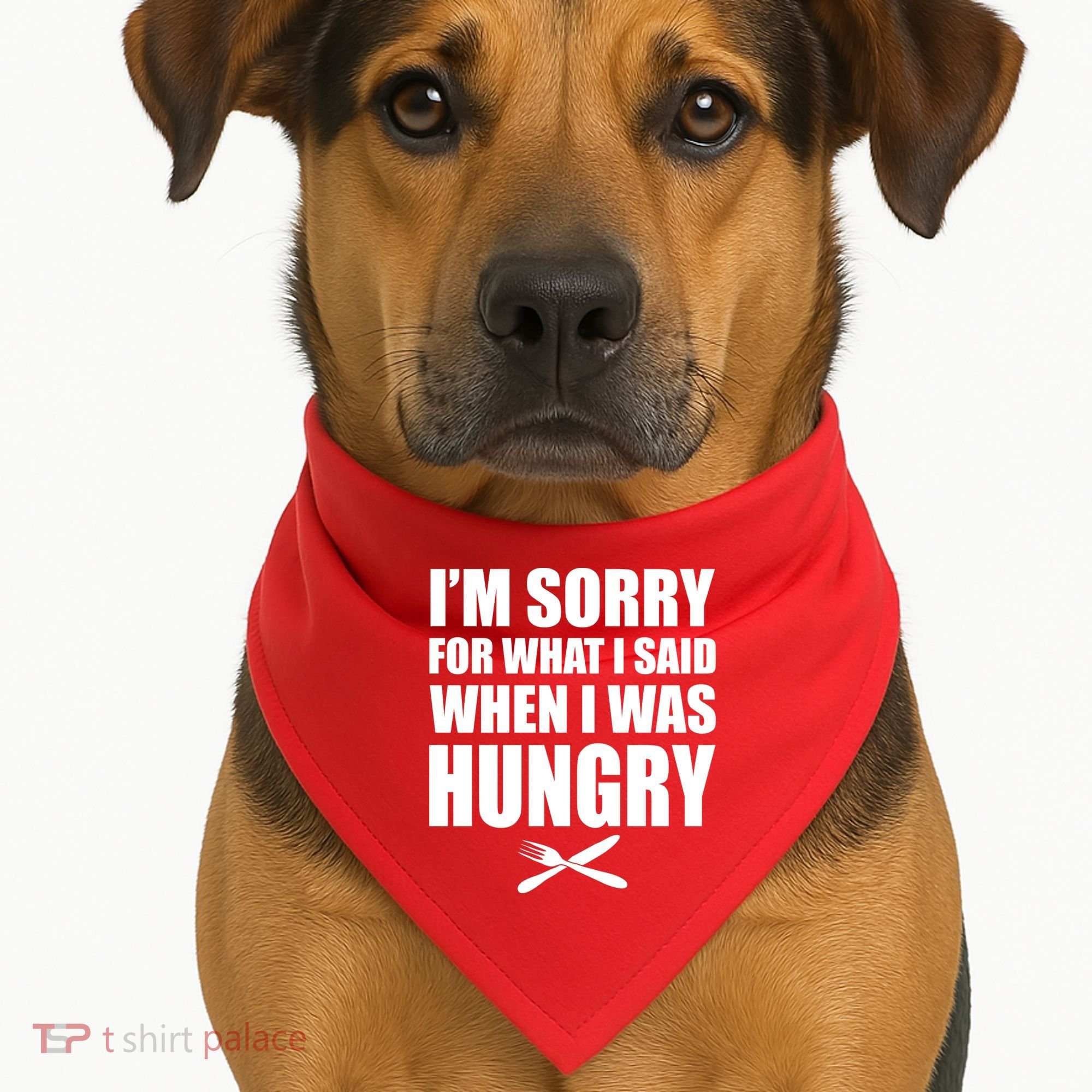 I'm Sorry For What I Said I Was Hungry USA-Made Doggie Bandana