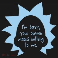 I'm Sorry Your Opinion Means Nothing To Me Ornament thumb 1