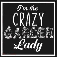 I'm The Crazy Garden Lady Women's Hoodie thumb 2