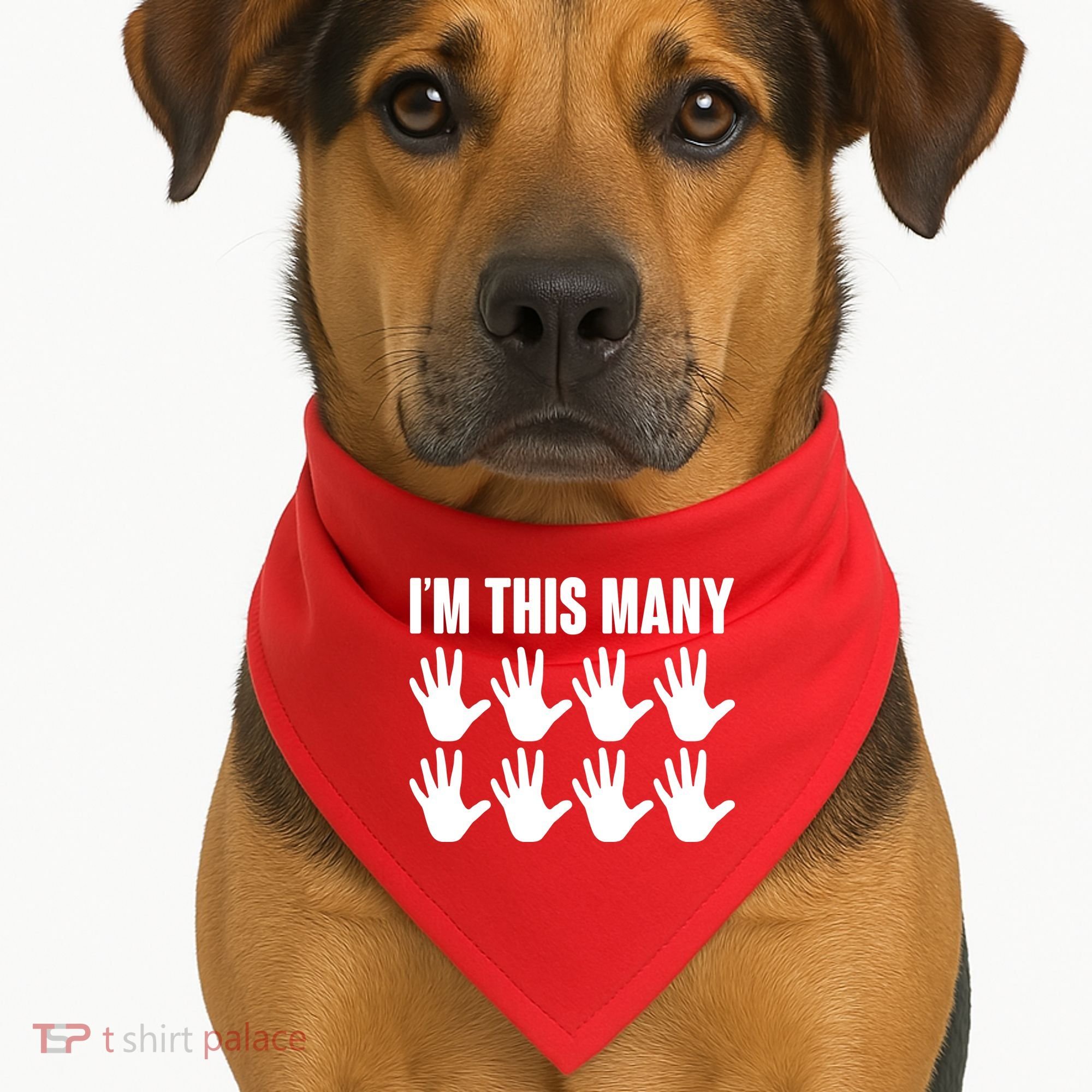 I'm This Many - 40th Birthday USA-Made Doggie Bandana