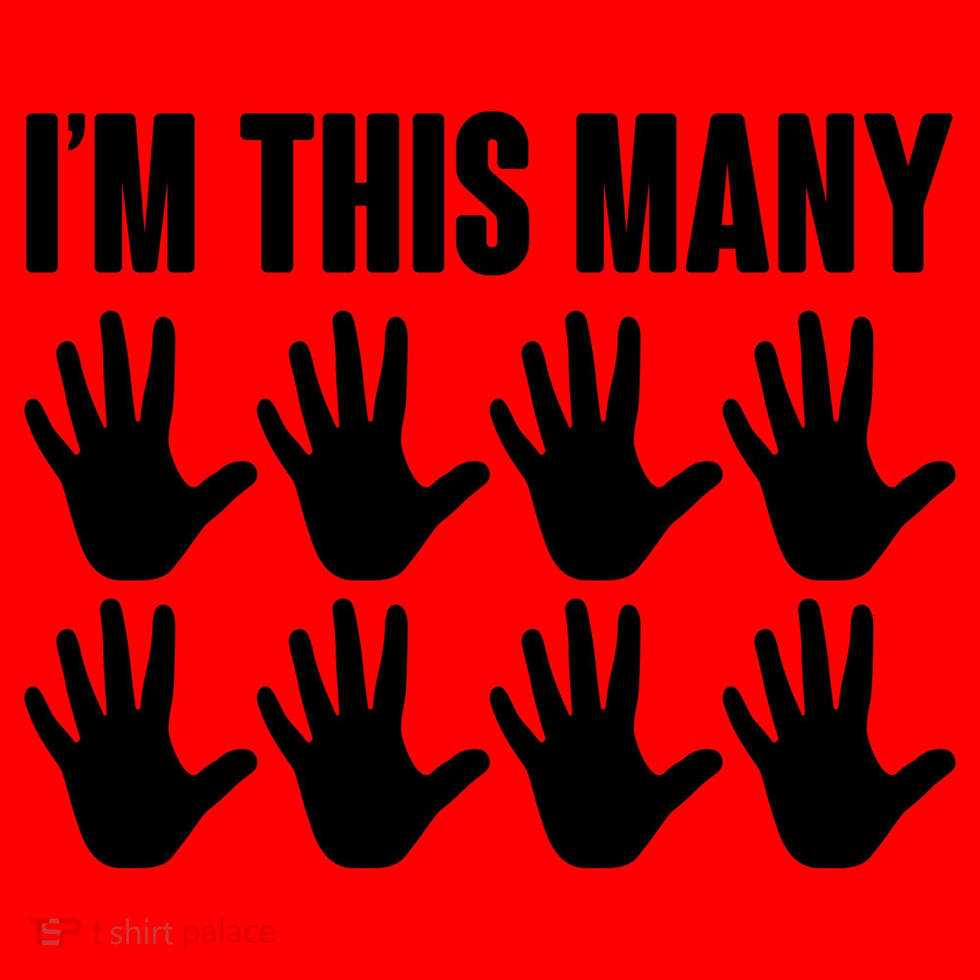 I'm This Many - 40th Birthday Santa Hat