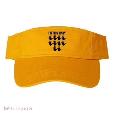 Visor
