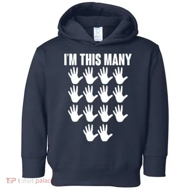 Toddler Hoodie