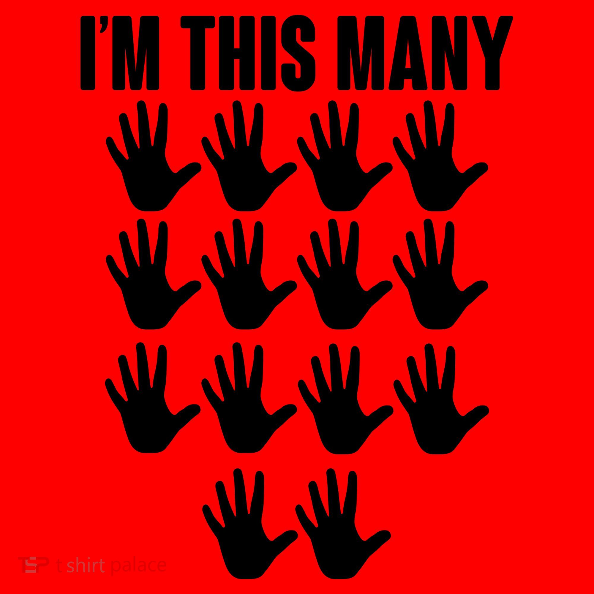 I'm This Many - 70th Birthday Santa Hat