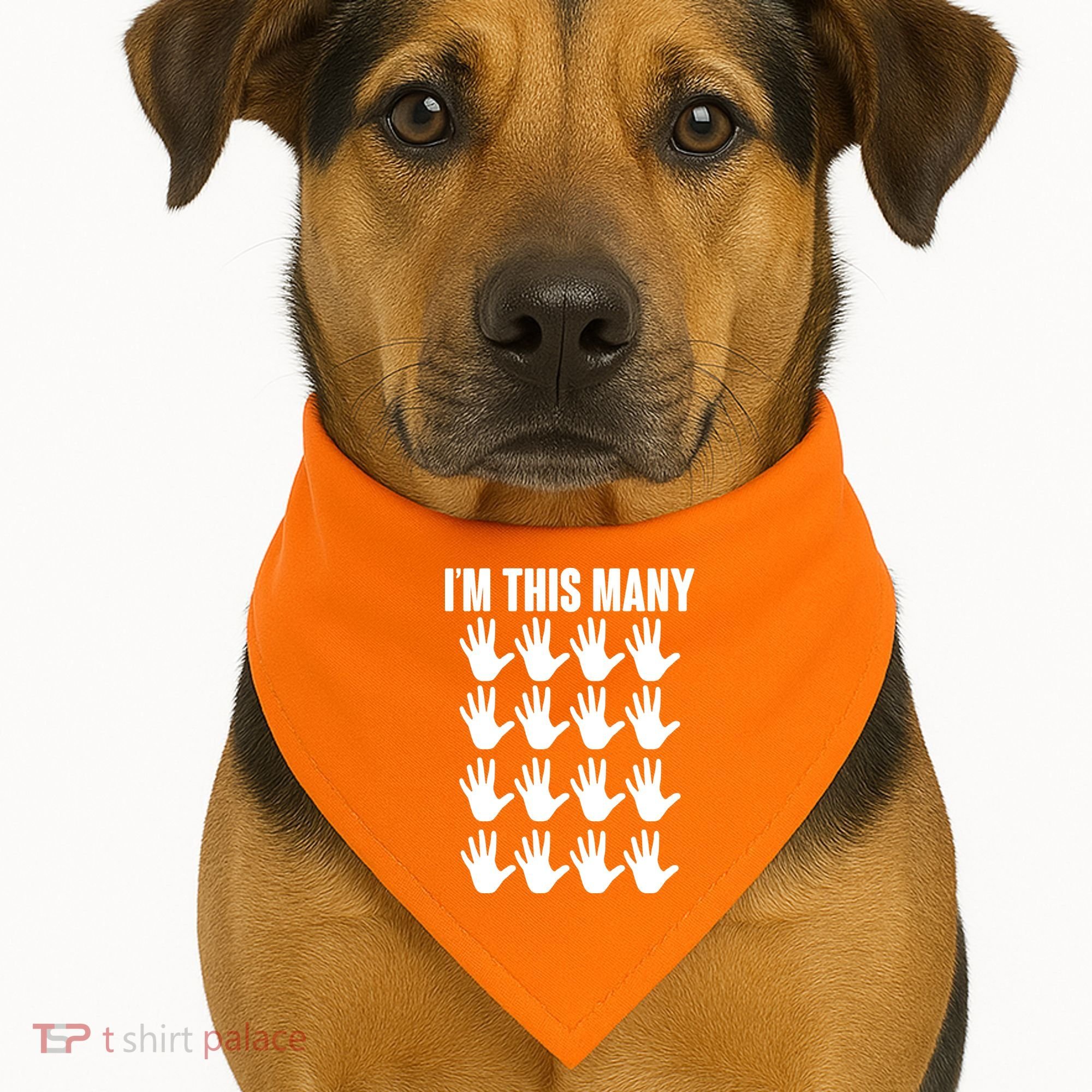 I'm This Many - 80th Birthday USA-Made Doggie Bandana