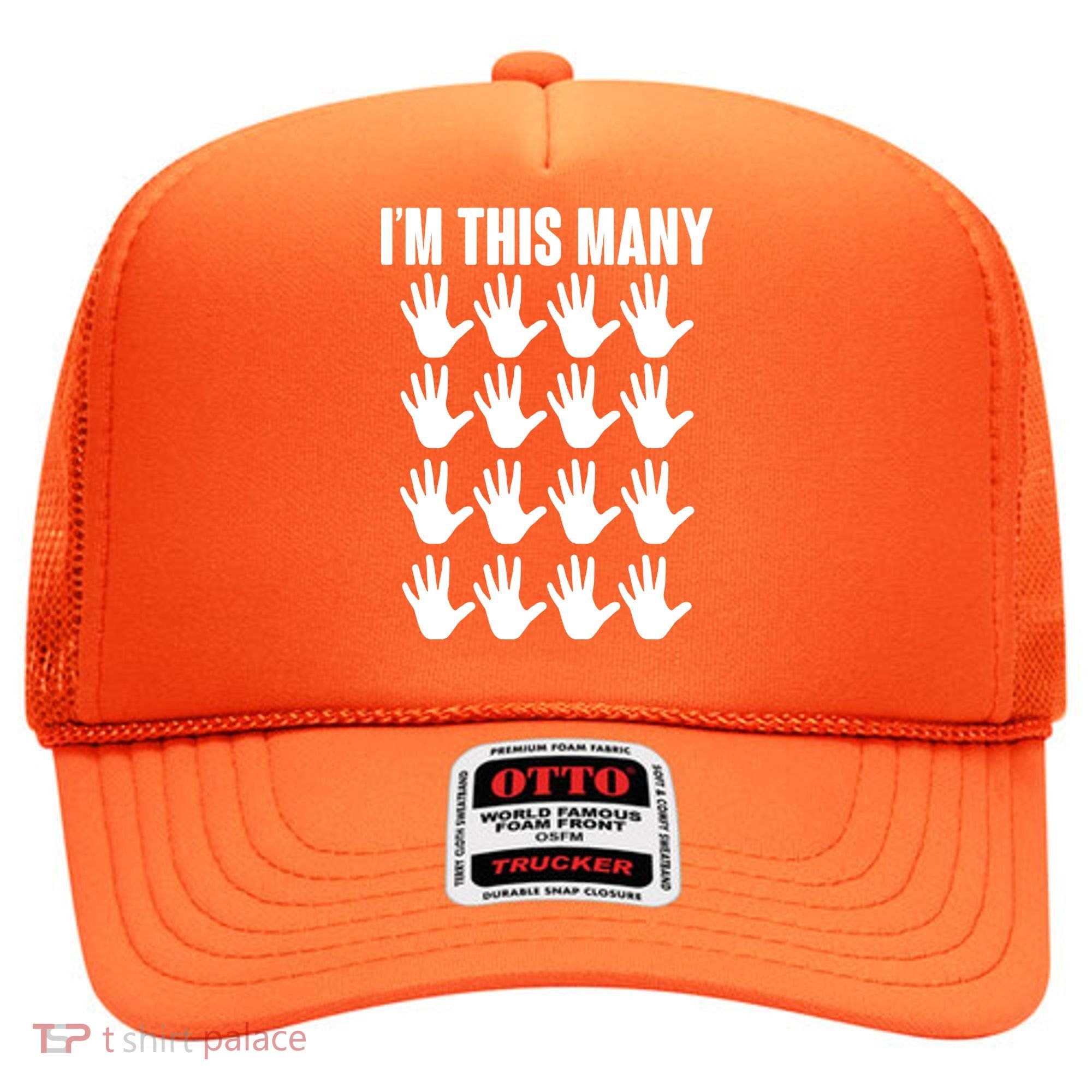 I'm This Many - 80th Birthday Hat