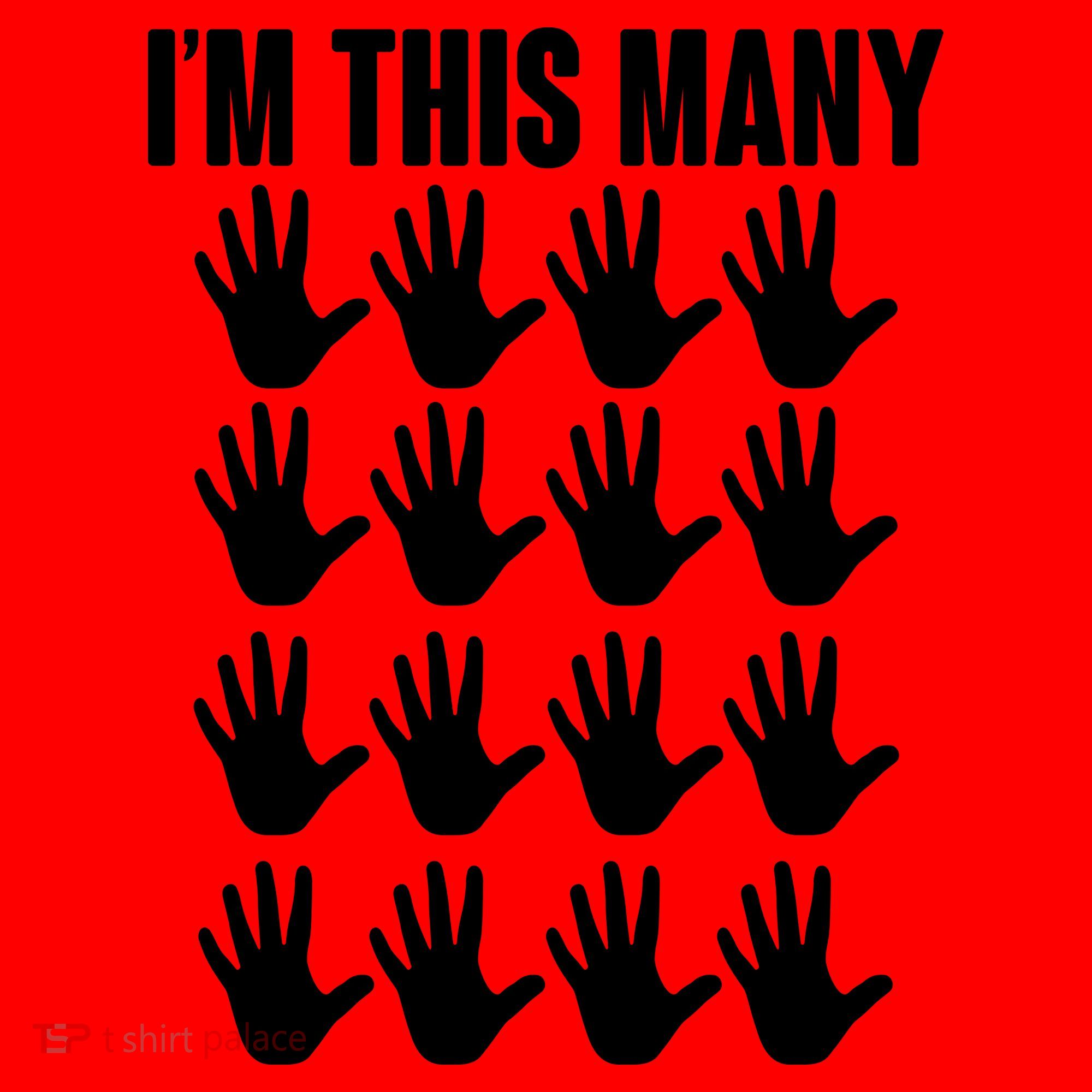 I'm This Many - 80th Birthday Santa Hat