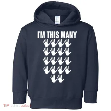 Toddler Hoodie