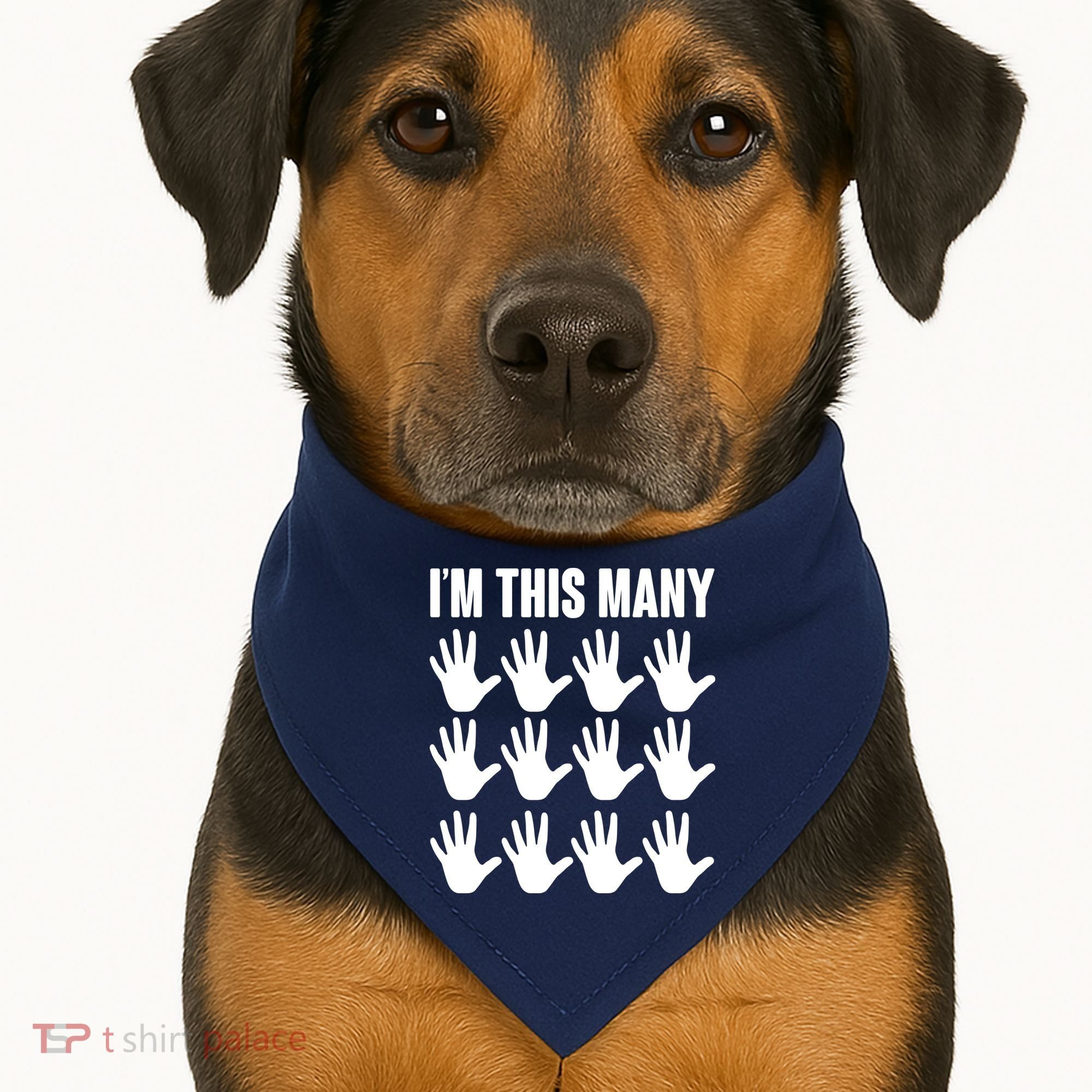 I'm This Many 60th Birthday USA-Made Doggie Bandana