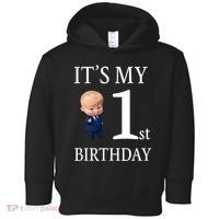 It's My 1st Birthday Toddler Hoodie thumb 0