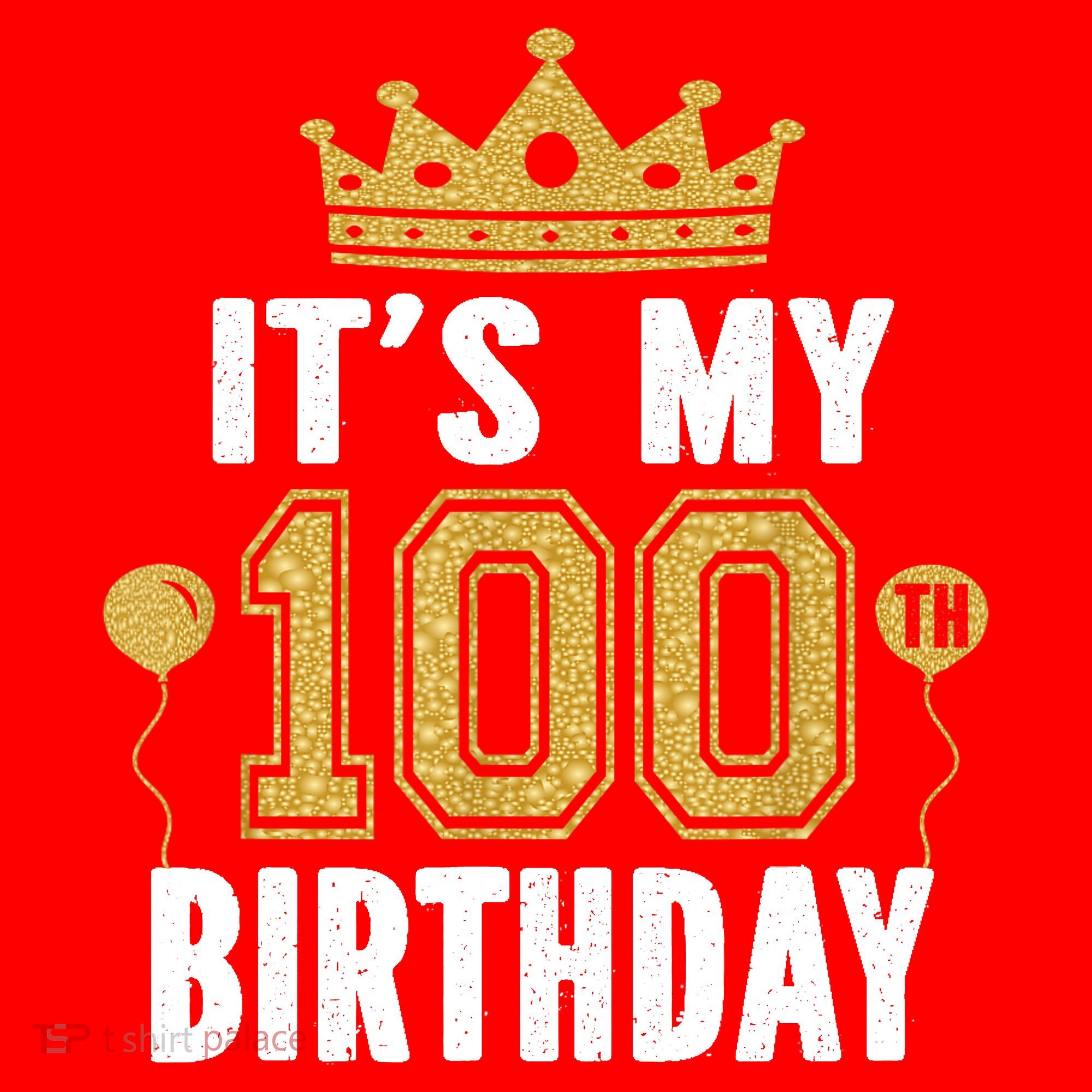 Its My 100th Birthday Gift For 100 Years Old Man And Woman Santa Hat