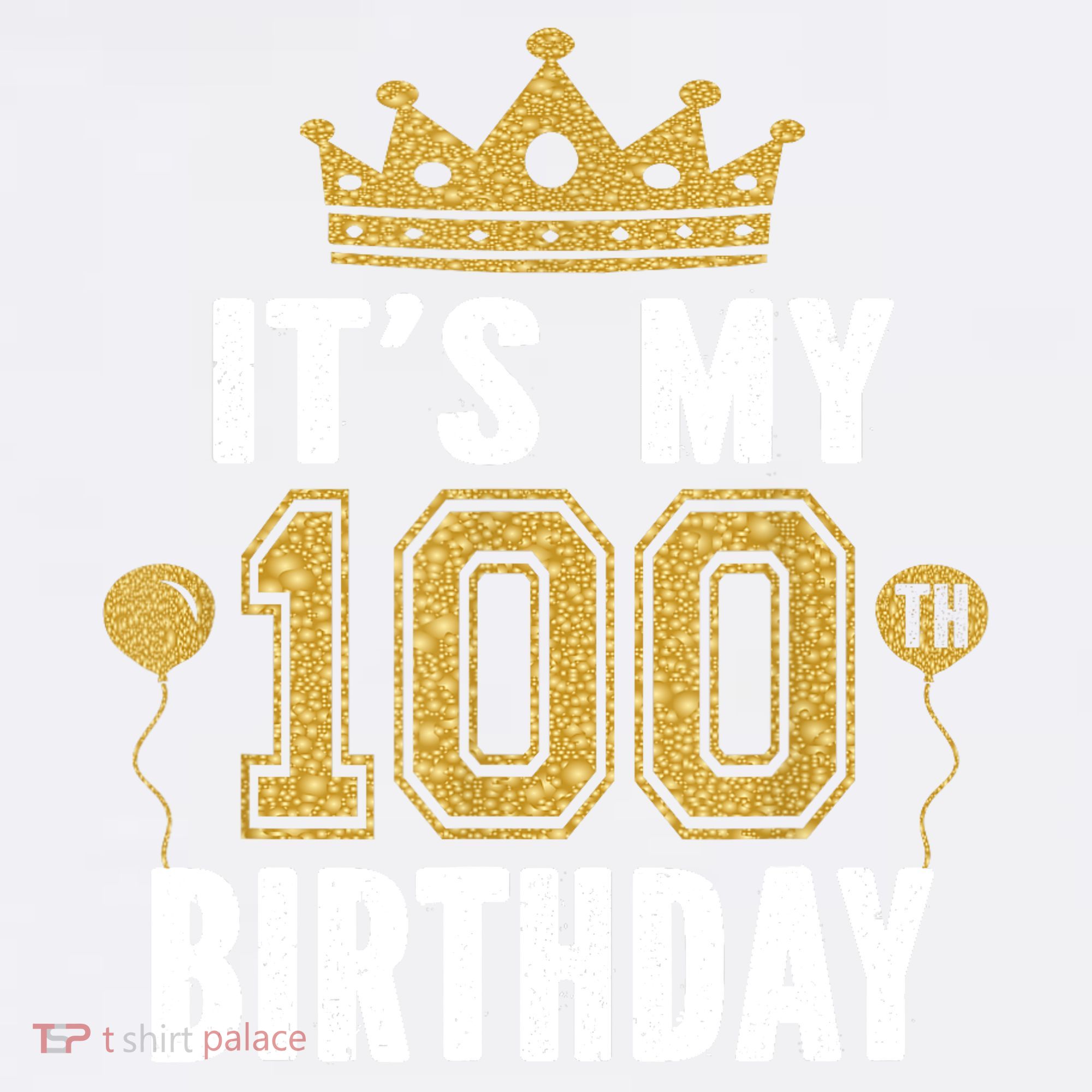 Its My 100th Birthday Gift For 100 Years Old Man And Woman T-Shirt