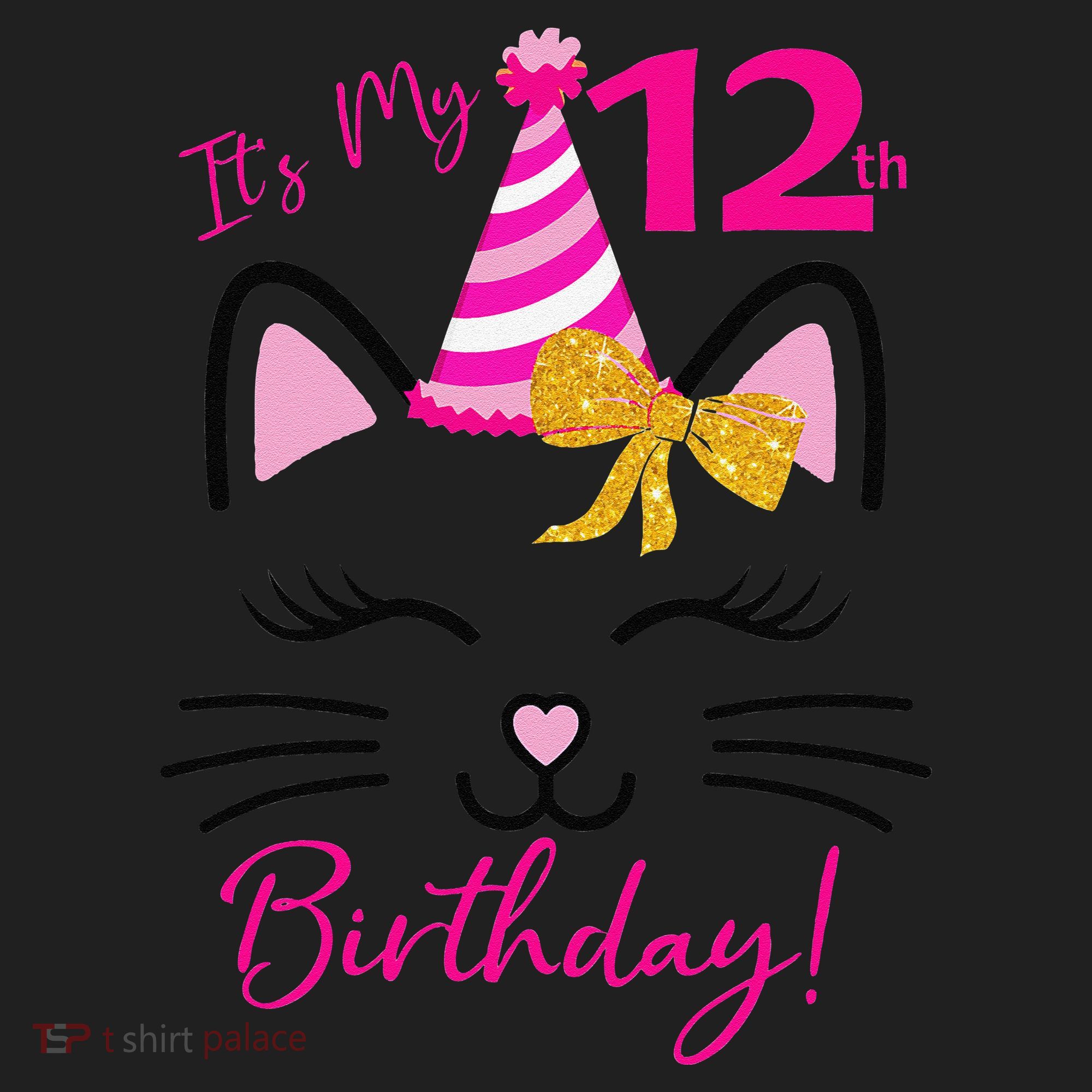 It's My 12th Birthday Funny Cat Birthday 12 Year Old Beanie
