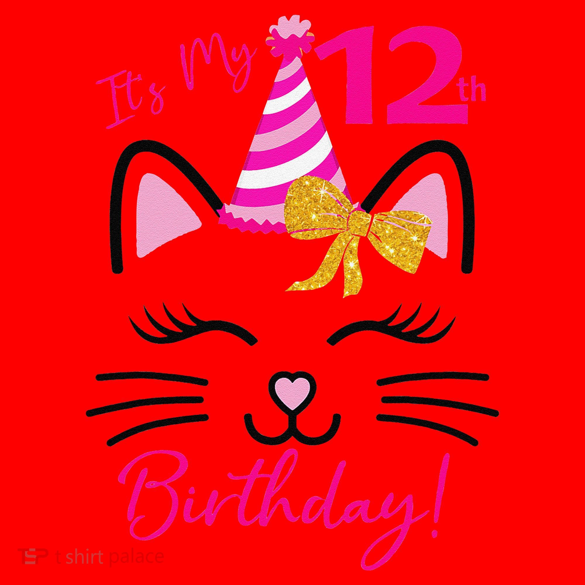 It's My 12th Birthday Funny Cat Birthday 12 Year Old Santa Hat