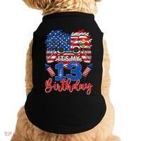 Its My 13th Birthday 13 Years Old July 4th Gamer Controller Doggie Tank thumb 0