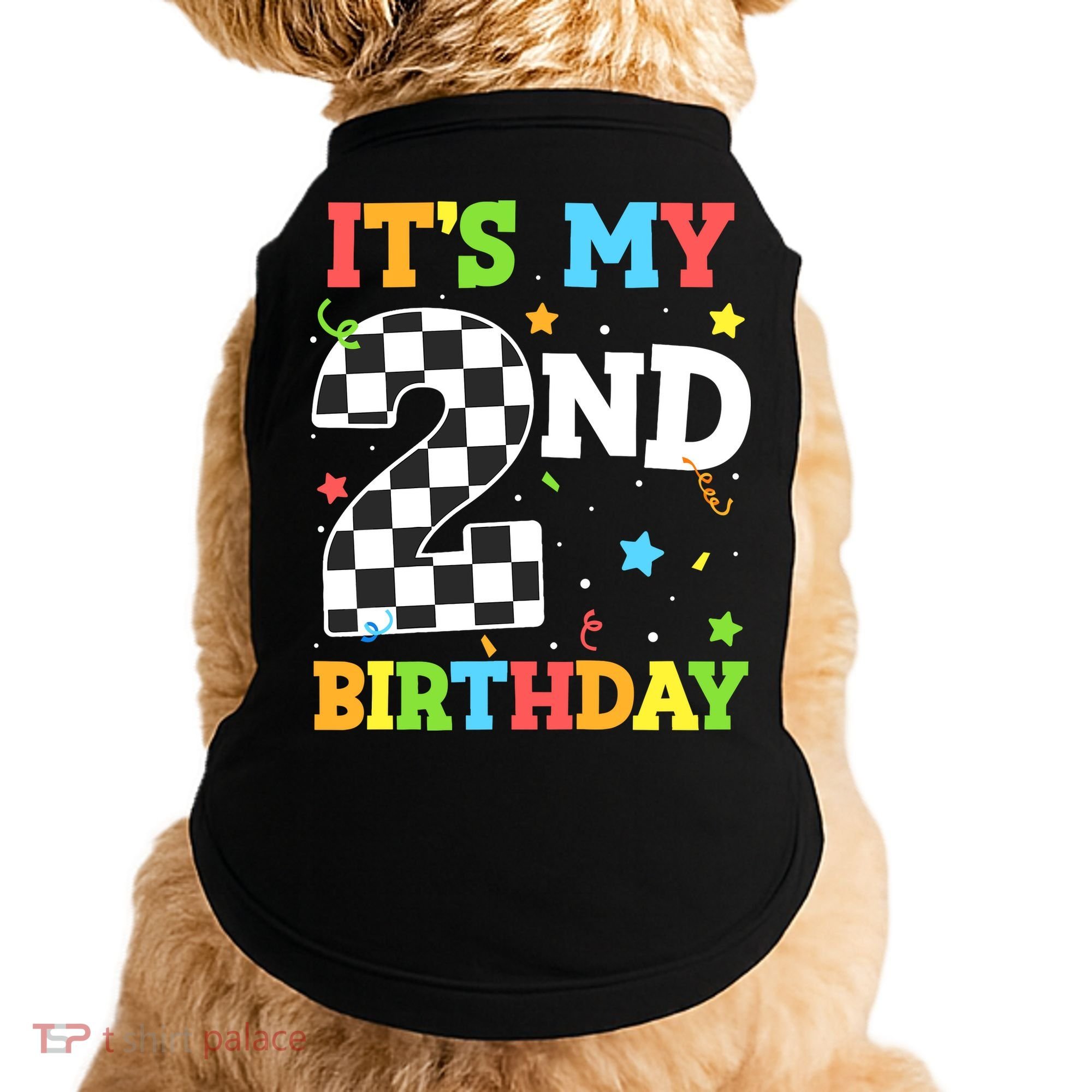 ItS My 2nd Birthday Boy 2 Two Racing Car Flag Race Car Doggie Tank