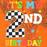 ItS My 2nd Birthday Boy 2 Two Racing Car Flag Race Car Kati Licensed 12" Camo Cuffed Beanie thumb 2
