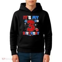ItS My 3rd Birthday Spider Theme Party 3 Year Old Kids Hoodie thumb 4