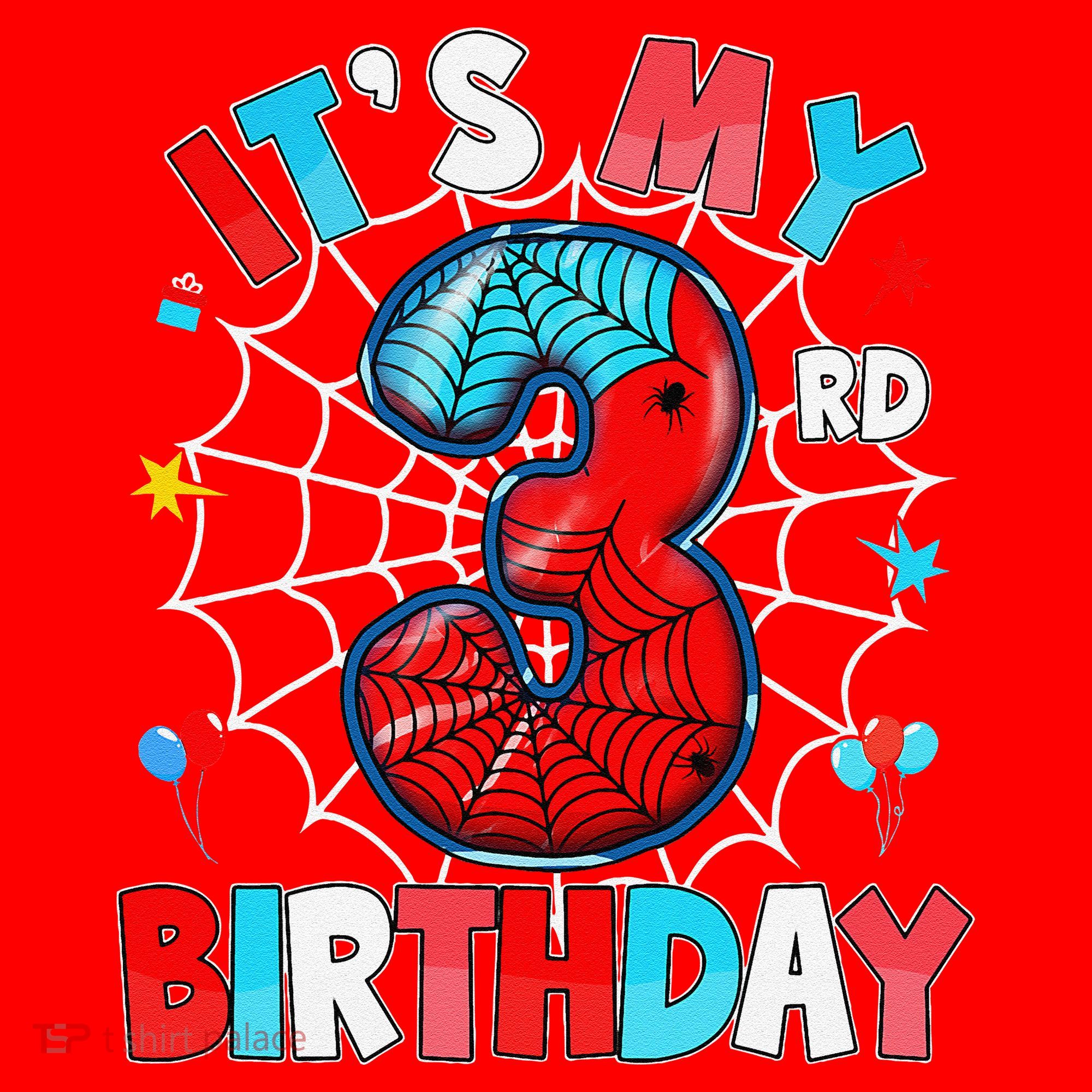 ItS My 3rd Birthday Spider Theme Party 3 Years Old Santa Hat
