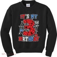 Its My 3rd Birthday Spider Theme Party 3 Year Old Boy Kids Sweatshirt thumb 0