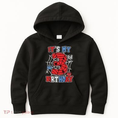 Its My 3rd Birthday Spider Theme Party 3 Year Old Boy Kids Hoodie