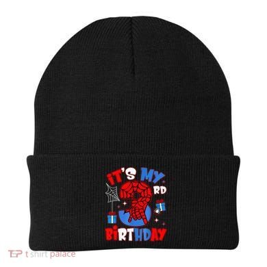 It'S My 3rd Birthday Spider Theme Party Boy Birthday Present Beanie