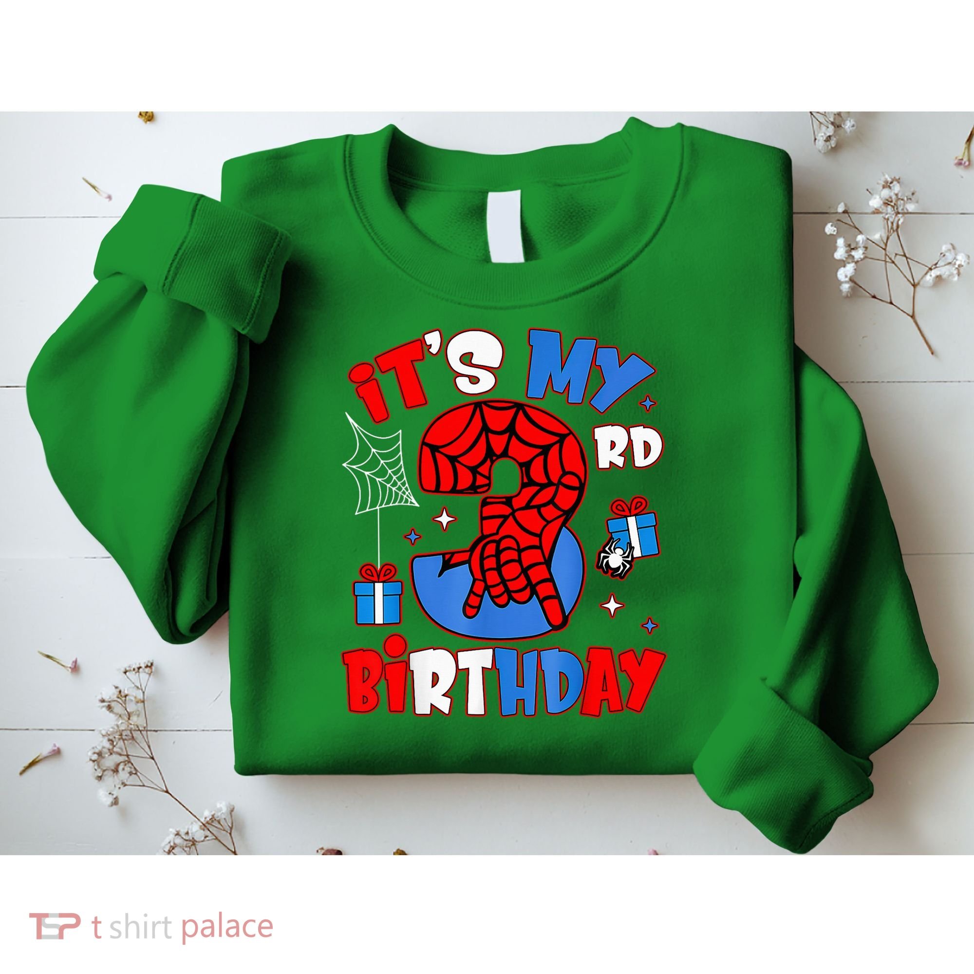 It'S My 3rd Birthday Spider Theme Party Boy Birthday Present Sweatshirt