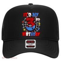 ItS My 3rd Birthday Spider Theme Party 3 Years Old Hat thumb 0