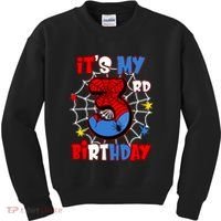 ItS My 3rd Birthday Spider Theme Party 3 Years Old Kids Sweatshirt thumb 0