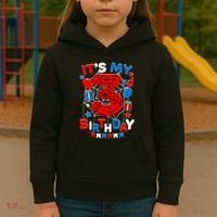 Its My 3rd Birthday Spider Theme Party 3 Year Old Kids Hoodie thumb 3