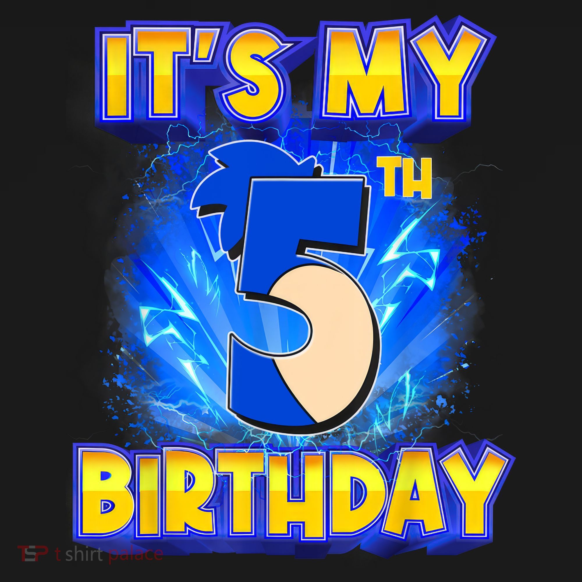 It's My 5th Birthday Hedgehog Birthday Boy 5 Years Old Kids Women's Hoodie