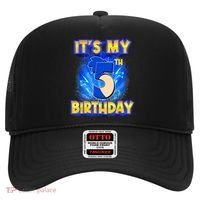 It's My 5th Birthday Hedgehog Birthday Boy 5 Years Old Kids Hat thumb 0