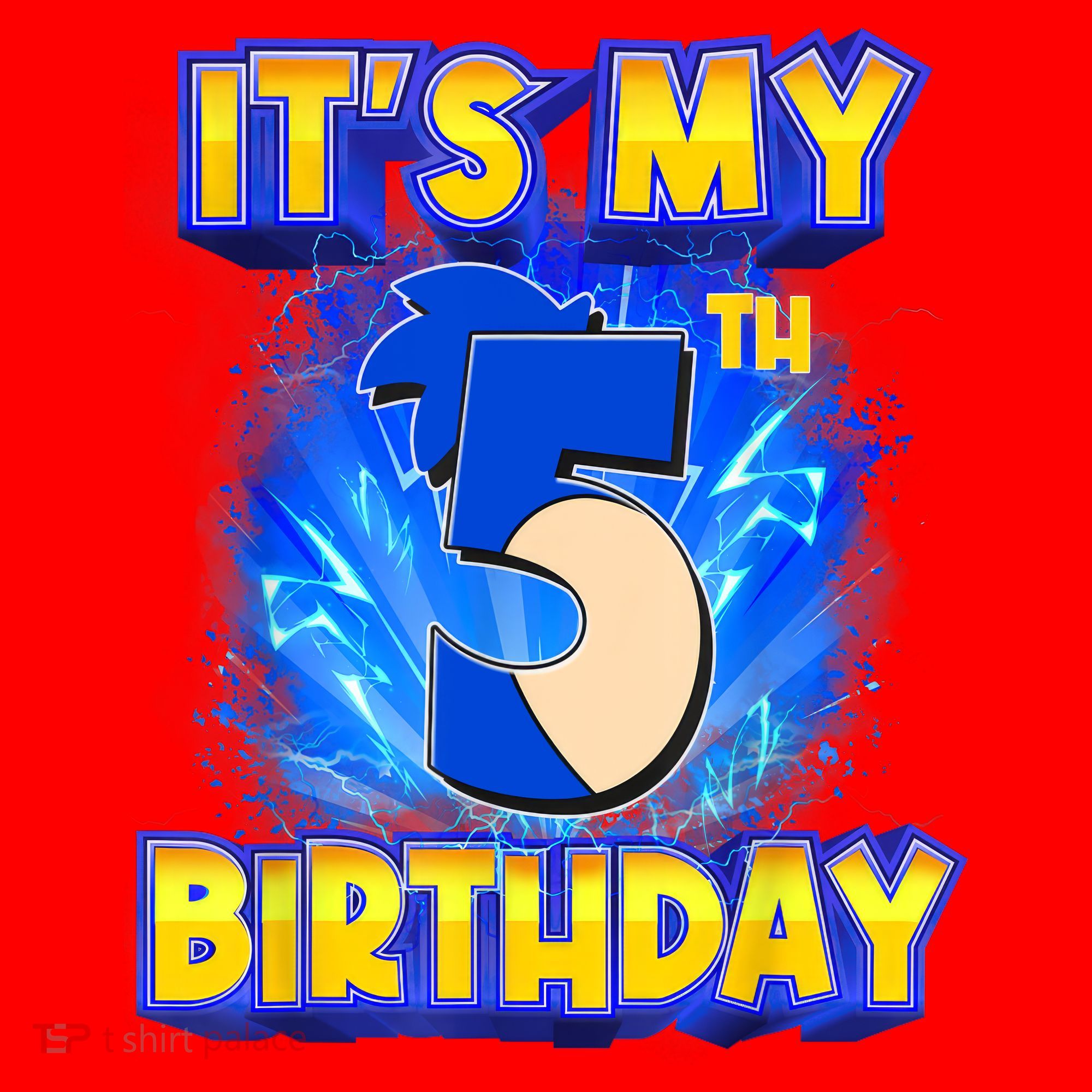 It's My 5th Birthday Hedgehog Birthday Boy 5 Years Old Kids Santa Hat