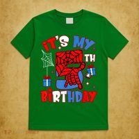 It'S My 5th Birthday Spider Theme Party Boy Birthday Present T-Shirt thumb 5