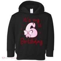 Its My 6th Birthday 6 Years Old Bday Coquette Bow BD Toddler Hoodie thumb 0